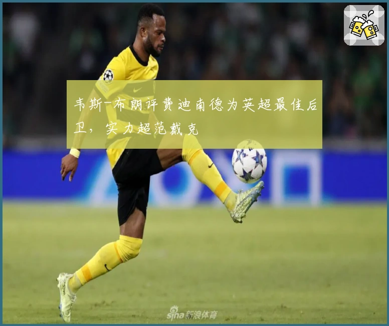 韦斯-布朗评费迪南德为英超最佳后卫，实力超范戴克