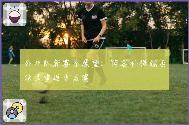 公牛队新赛季展望:阵容补强能否助力重返季后赛