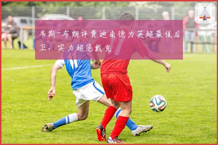 韦斯-布朗评费迪南德为英超最佳后卫，实力超范戴克